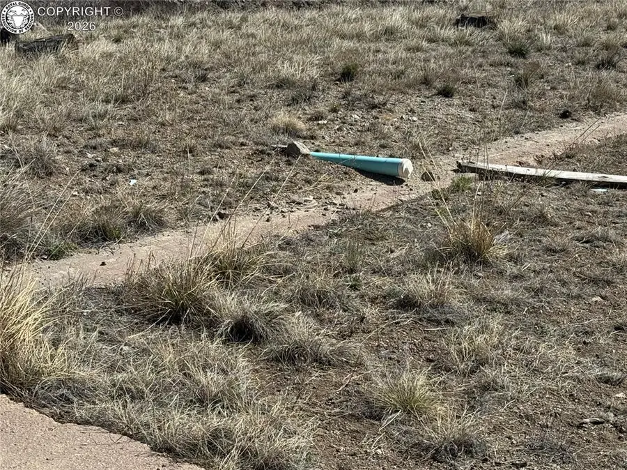 184 Carpenter Trail, Cotopaxi, CO 81223 - #3