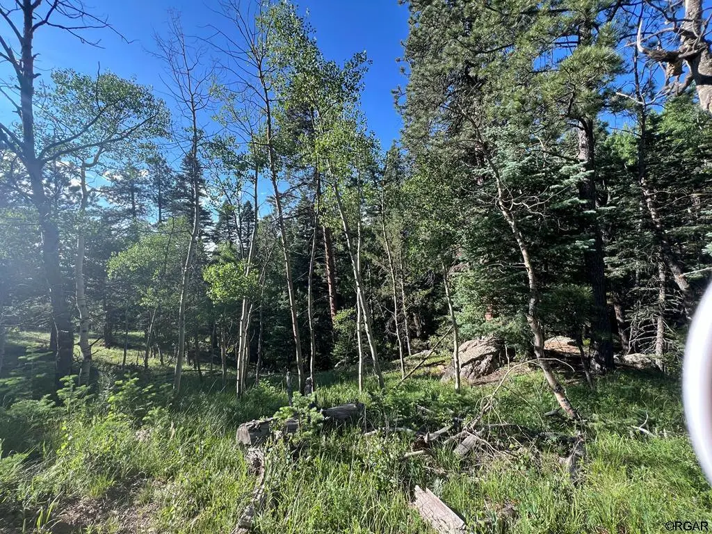 Lot 7 Wonder Trail, San Isabel, CO 81069 - #1