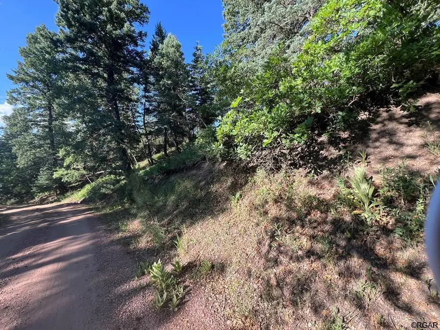 Lot 7 Wonder Trail, San Isabel, CO 81069 - #2
