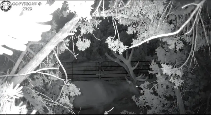 6179 County Road 84, Florence, CO 81226 - Image #3