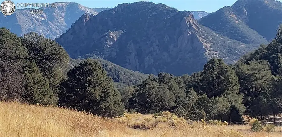 675 Black Gulch Road, Cotopaxi, CO 81223 - Image #3