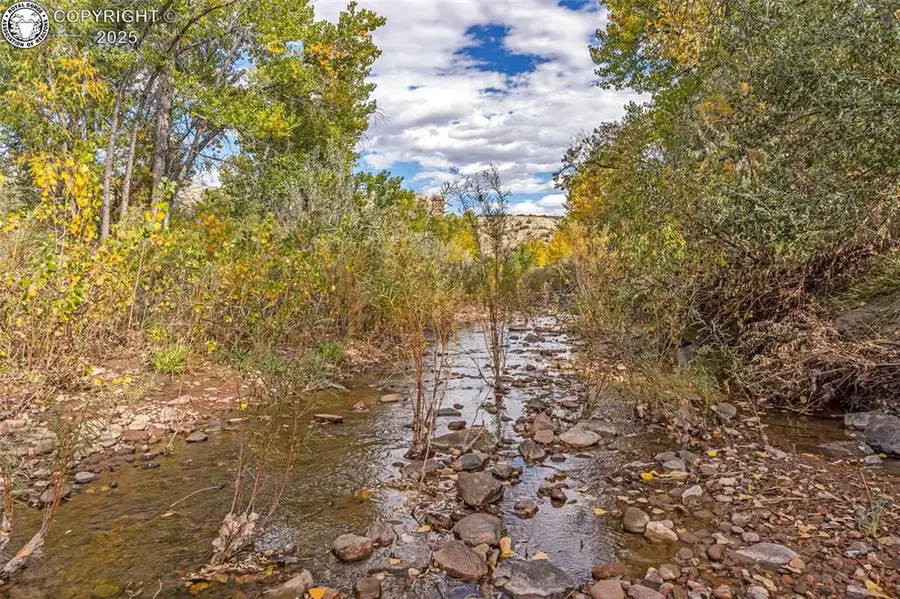 802 Turrell Trail, Penrose, CO 81240 - Image #3