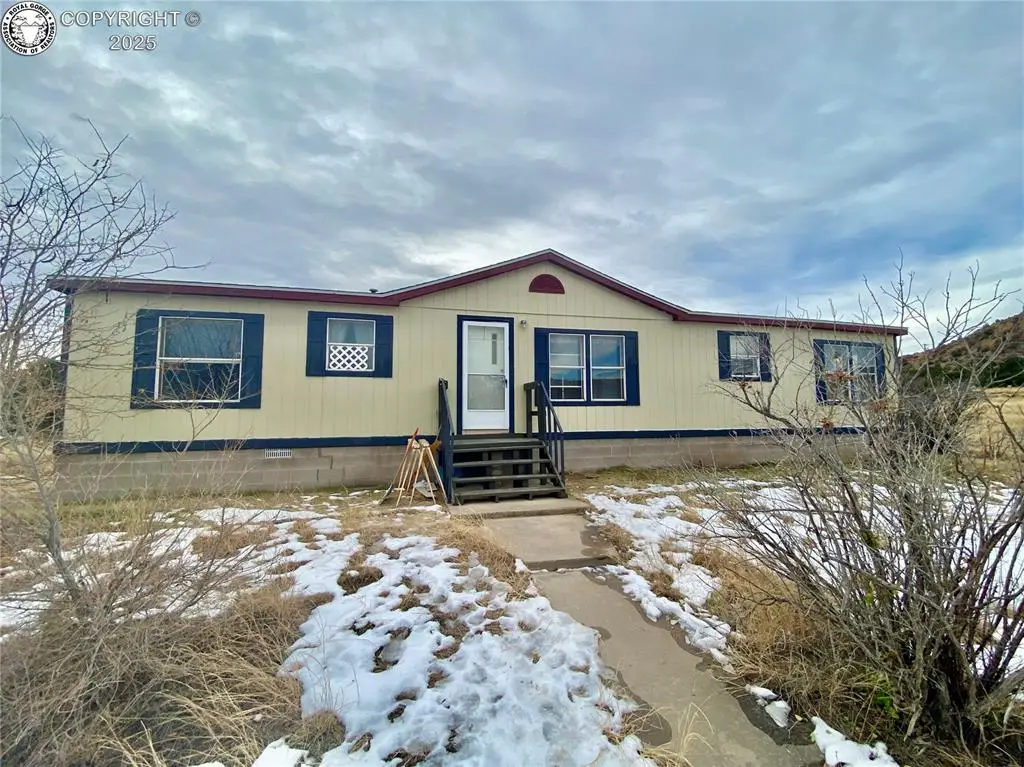 440 Twin Pines Avenue, Rockvale, CO 81244 - Image #1