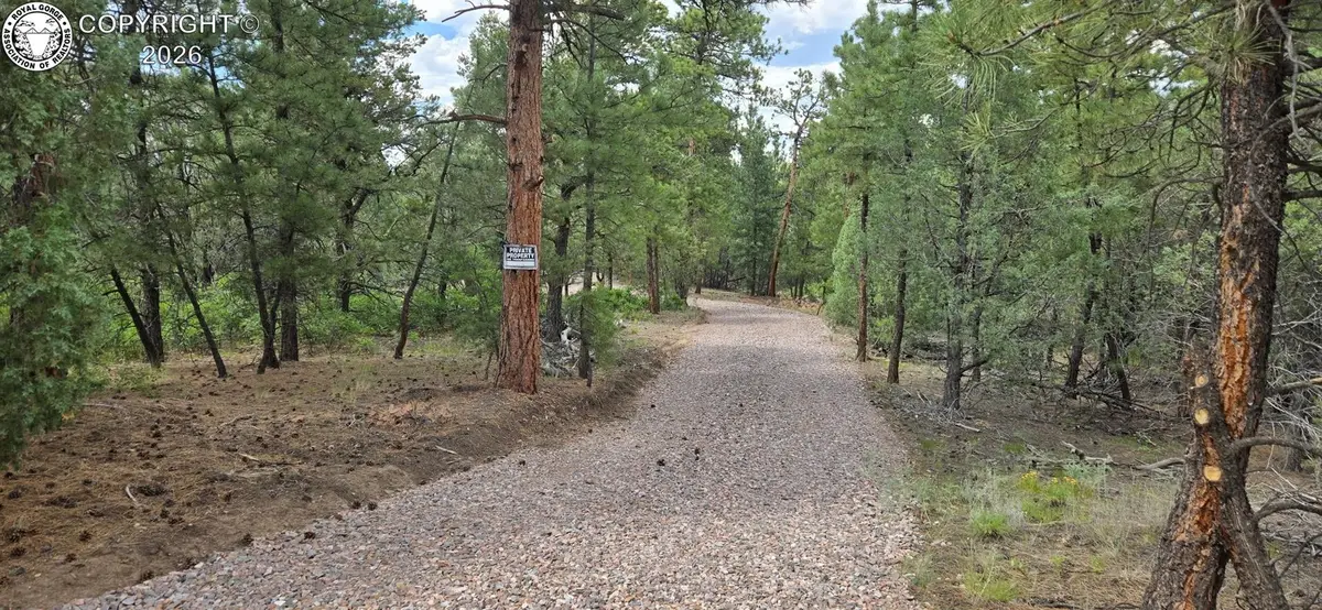 165 Mosswood Drive, Cotopaxi, CO 81223 - #1