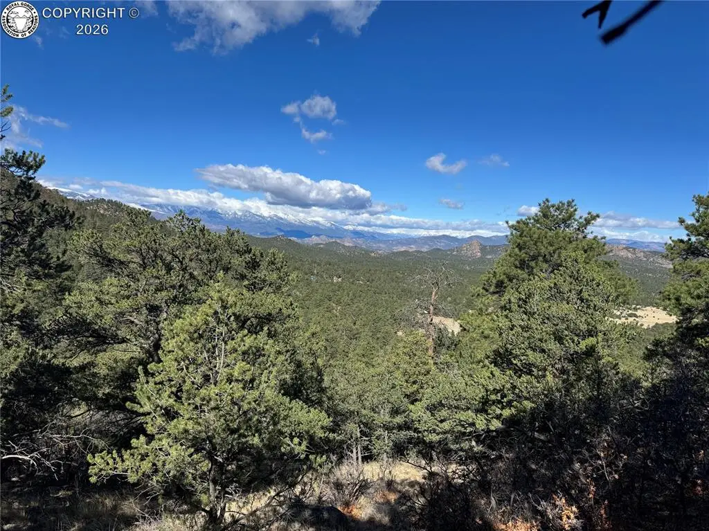 TR-143 18th Trail, Cotopaxi, CO 81223 - #1