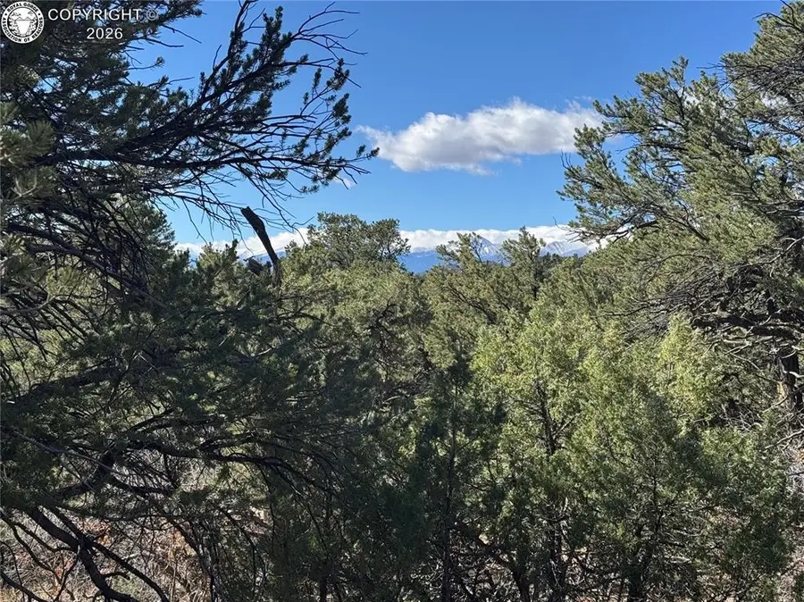 TR-143 18th Trail, Cotopaxi, CO 81223 - #2