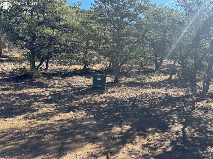 TR-143 18th Trail, Cotopaxi, CO 81223 - #3