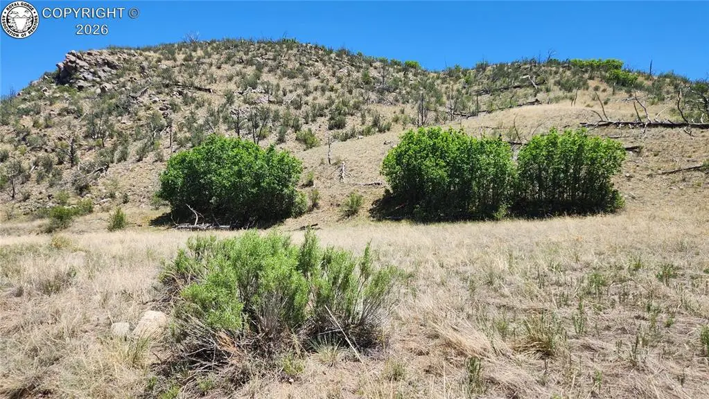 TBD L 35th Trail, Cotopaxi, CO 81223 - #1