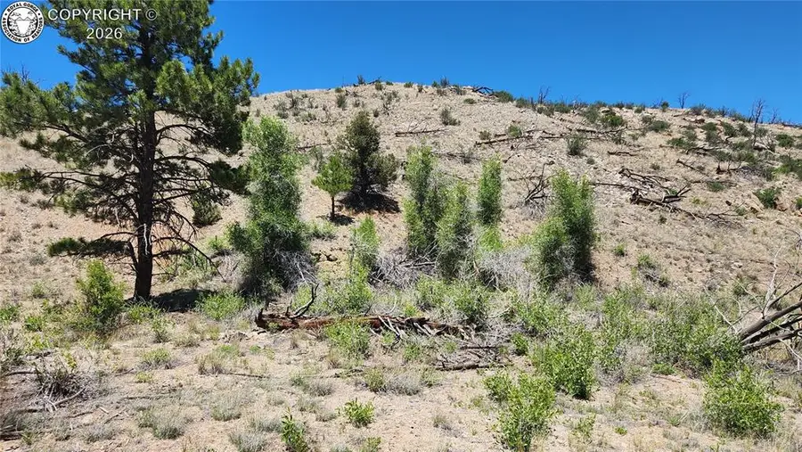 TBD L 35th Trail, Cotopaxi, CO 81223 - #2