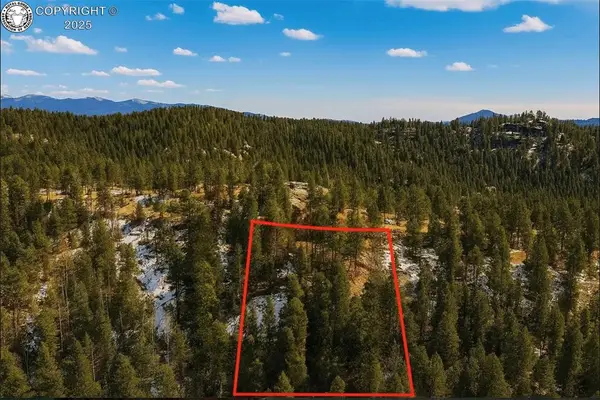 2369 Mountain Estates Road, Florissant, CO 80816
