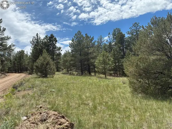 891 Driftwood Road, Westcliffe, CO 81252
