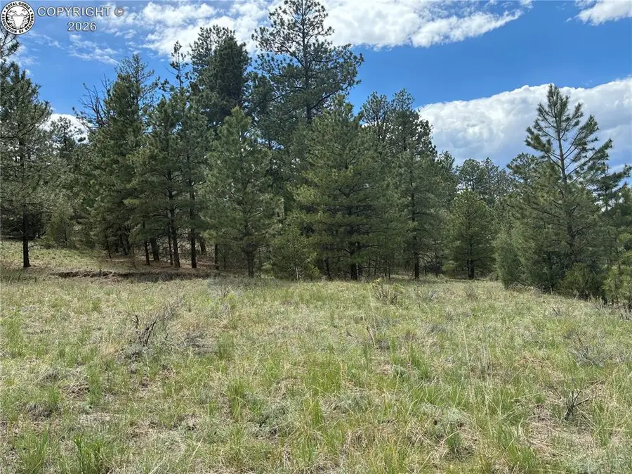 891 Driftwood Road, Westcliffe, CO 81252 - #2