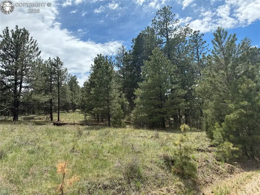 891 Driftwood Road, Westcliffe, CO 81252 - #3