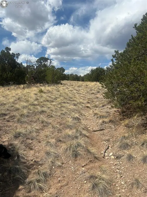 TBD County Road 530, Walsenburg, CO 81089