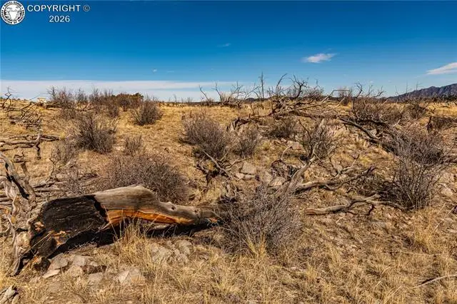 000 E Path, Cotopaxi, CO 81223 - #3