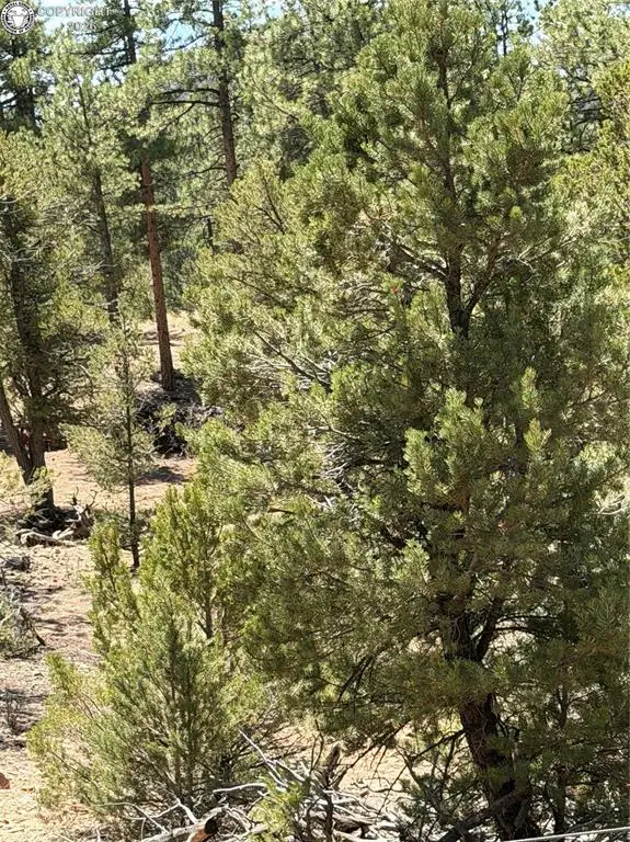 9th Trail, Cotopaxi, CO 81223 - #1