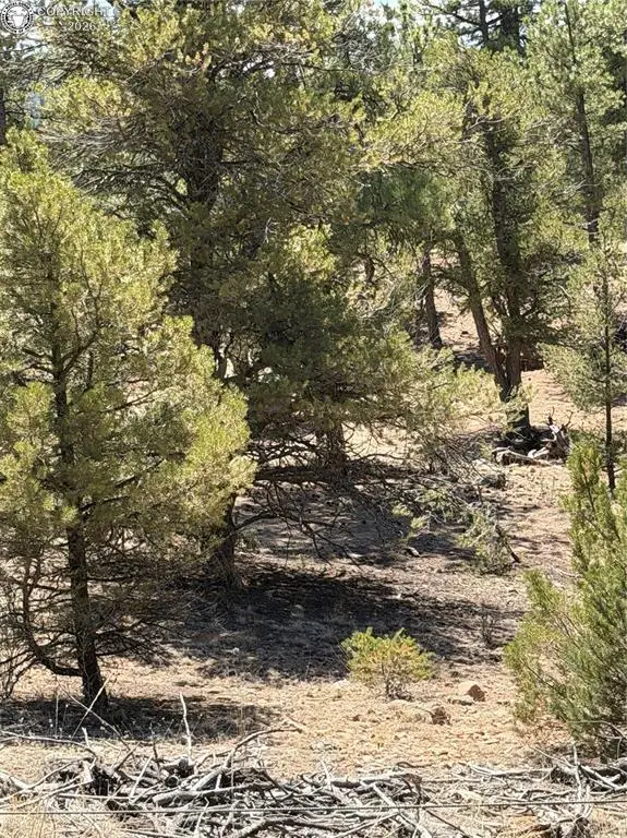 9th Trail, Cotopaxi, CO 81223 - #2