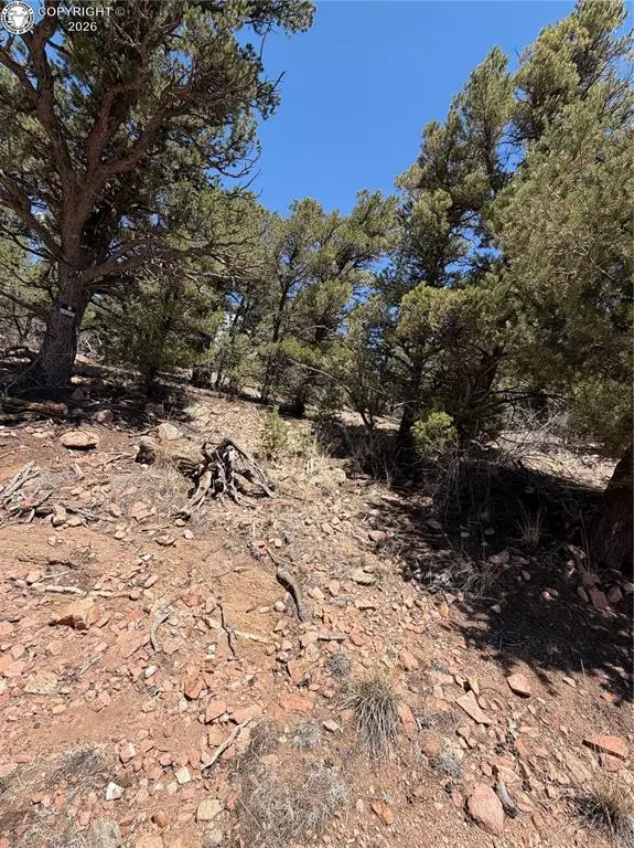 9th Trail, Cotopaxi, CO 81223 - #3