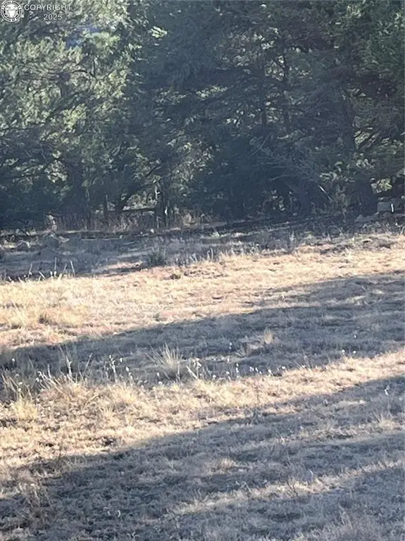 Q Path, Cotopaxi, CO 81223 - Image #3