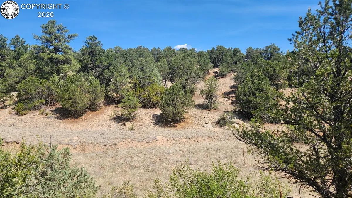 161 Ponderosa Lane, Cotopaxi, CO 81223 - #1