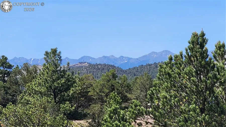 161 Ponderosa Lane, Cotopaxi, CO 81223 - #2