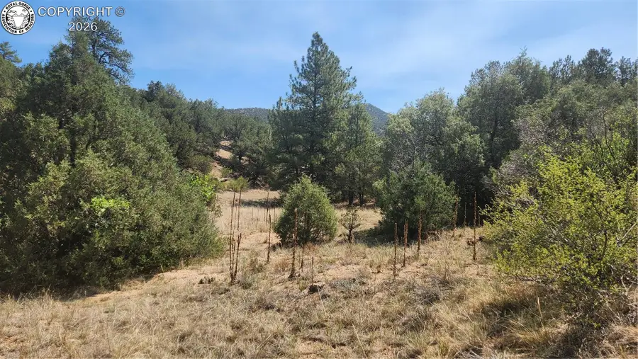 161 Ponderosa Lane, Cotopaxi, CO 81223 - #3