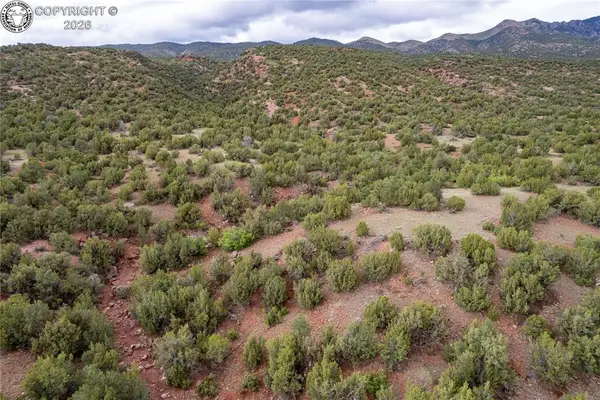 TBD Lot 5 Iron Handle Road, Penrose, CO 81240
