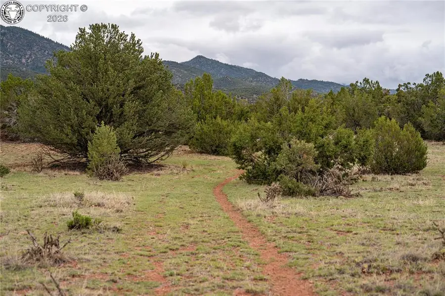 TBD Lot 5 Iron Handle Road, Penrose, CO 81240 - #2
