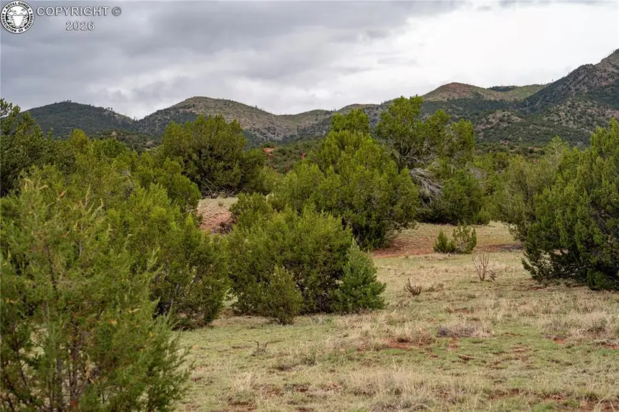 TBD Lot 5 Iron Handle Road, Penrose, CO 81240 - #3