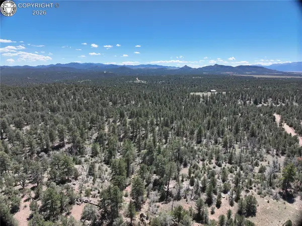 TBD Paint Brush Trail, Cotopaxi, CO 81223
