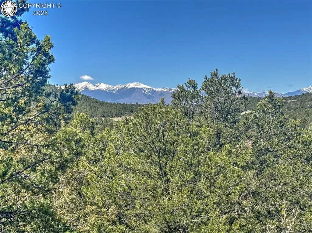176 Bel Air Way, Cotopaxi, CO 81223 - #1