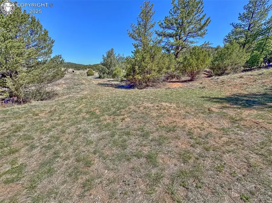 176 Bel Air Way, Cotopaxi, CO 81223 - #2