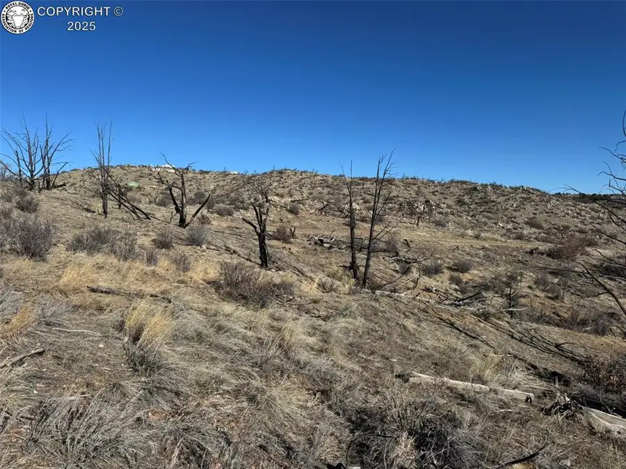 37th Trail F Path, Cotopaxi, CO 81223 - Image #2