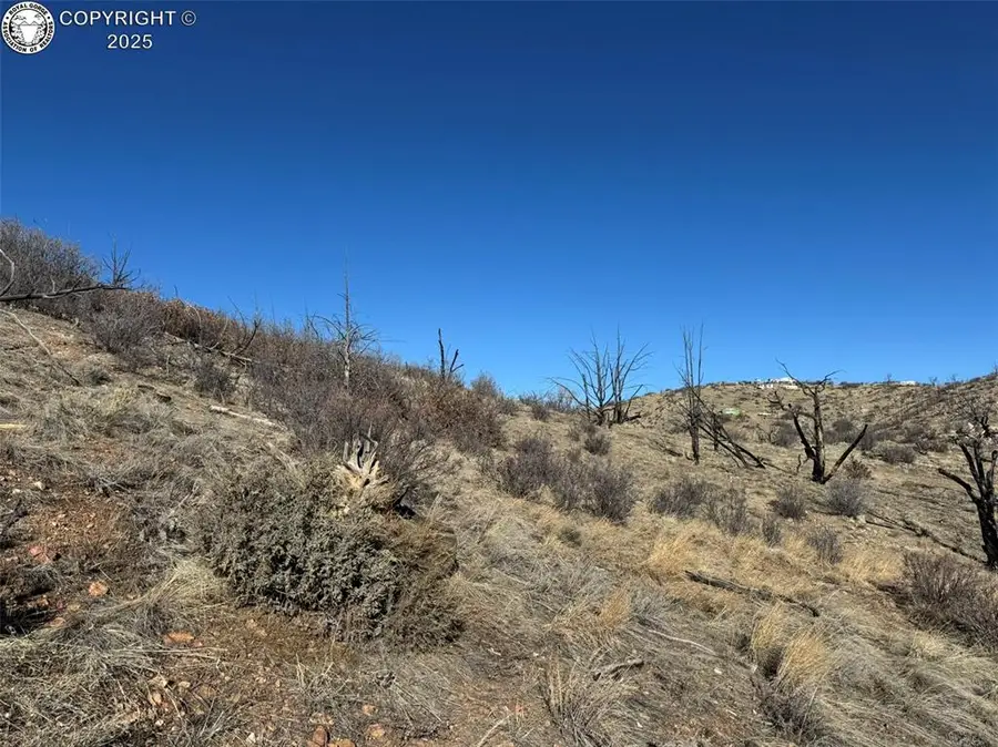 37th Trail F Path, Cotopaxi, CO 81223 - Image #3