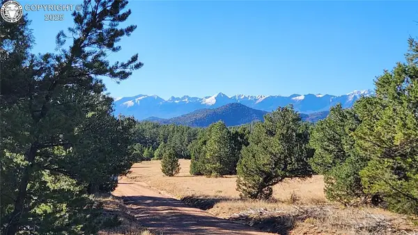1238 17th Trail, Cotopaxi, CO 81223