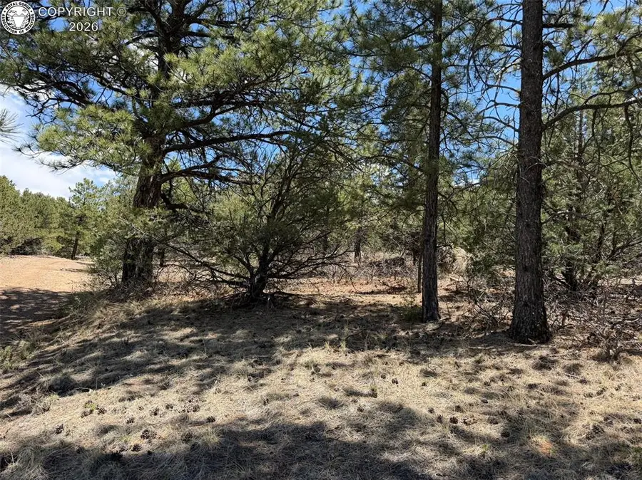 477 Bear Peak Road, Westcliffe, CO 81252 - #3