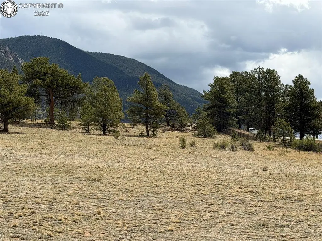 42 Turner Gulch Road, Hartsel, CO 80449 - #1