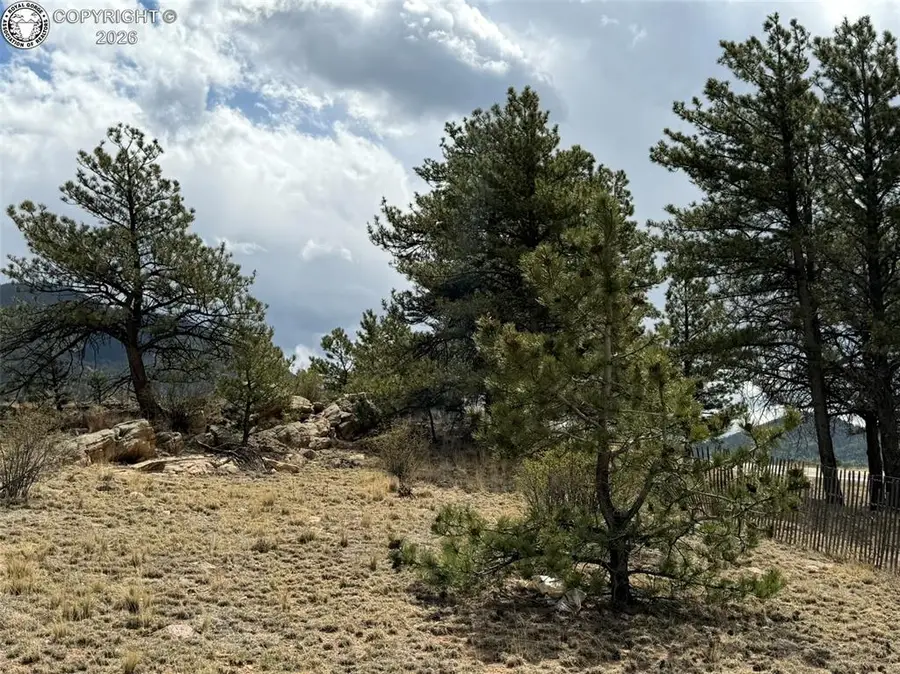 42 Turner Gulch Road, Hartsel, CO 80449 - #3