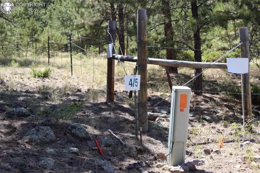 Tallahassee Lane, Canon City, CO 81212 - #2