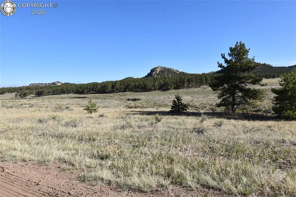 763 Apache Road, Westcliffe, CO 81252 - #1