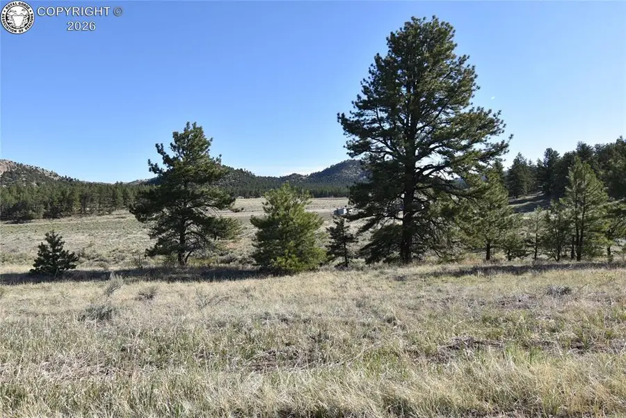 763 Apache Road, Westcliffe, CO 81252 - #3