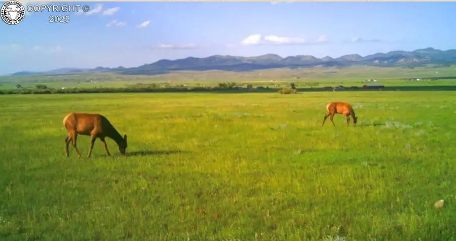 Lot 3 County Road 119, Westcliffe, CO 81252 - Image #2