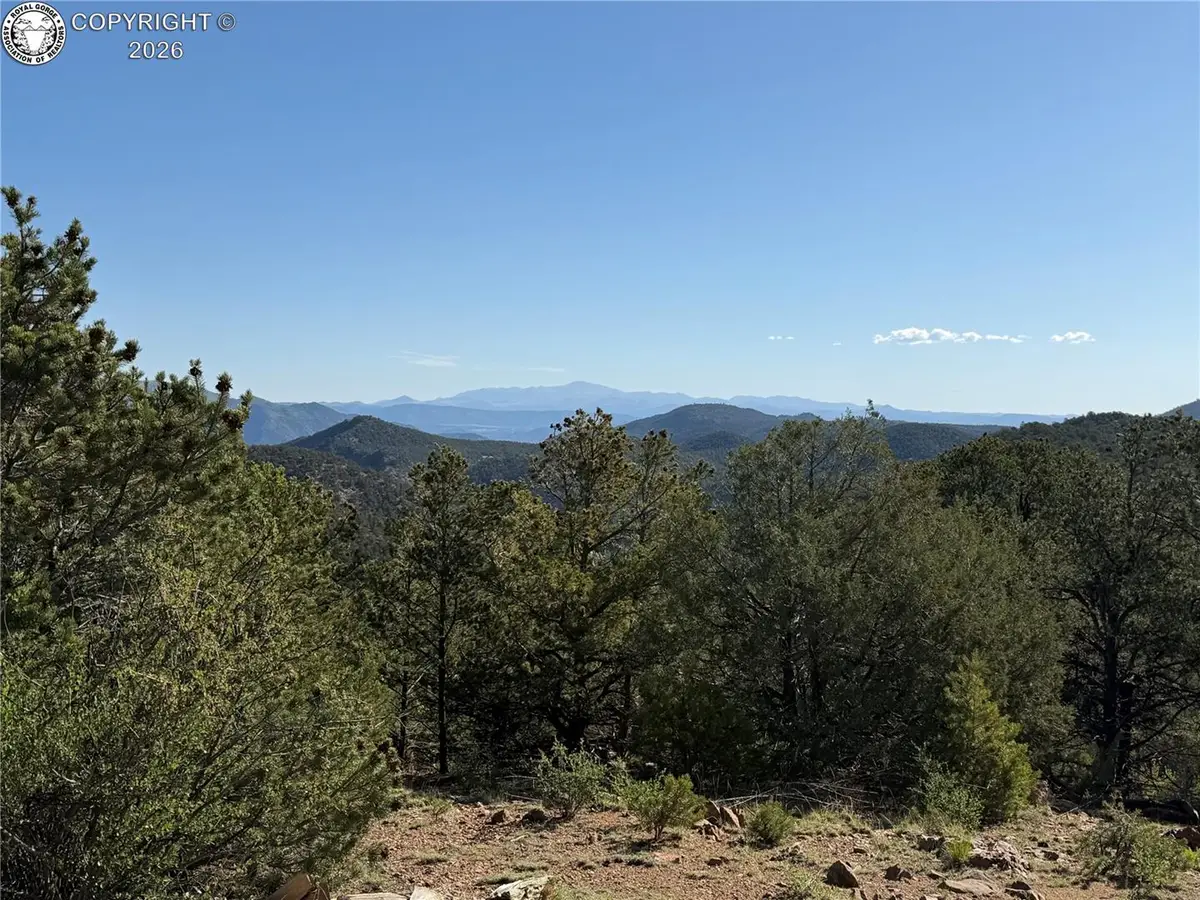 20 Molly Lane, Cotopaxi, CO 81223 - #1