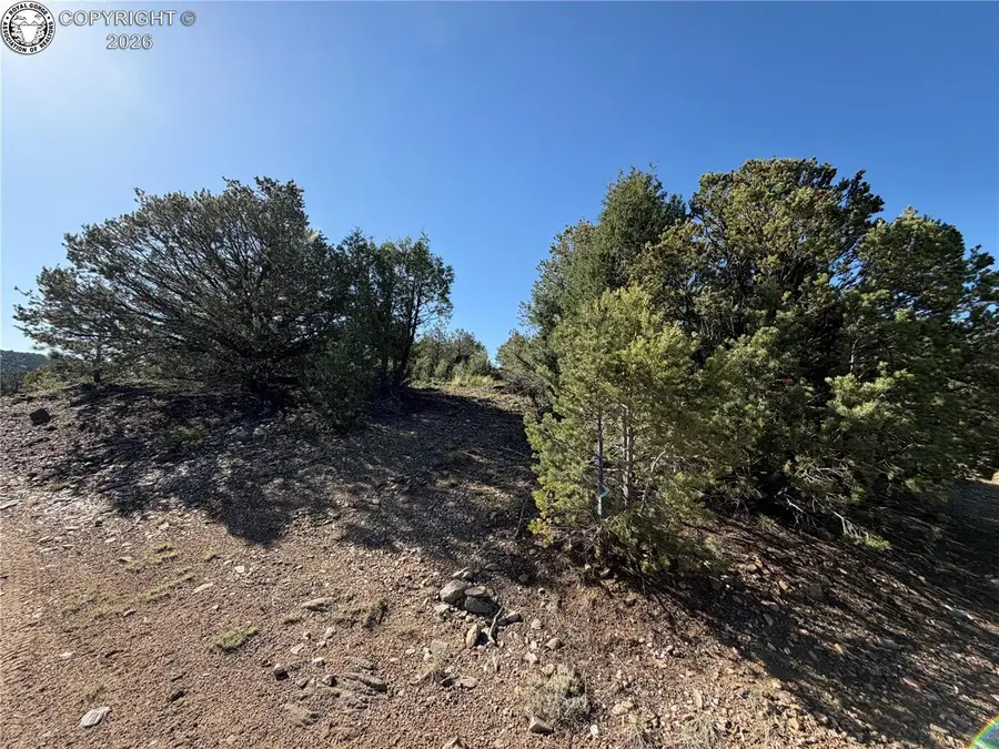 20 Molly Lane, Cotopaxi, CO 81223 - #2