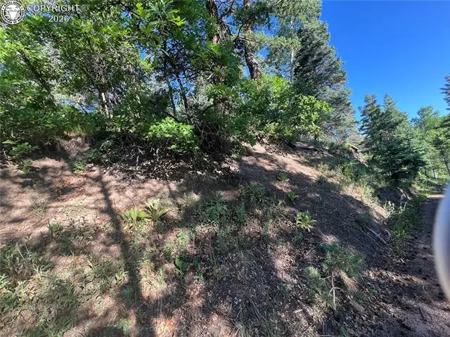 Lot 7 Wonder Trail Na, San Isabel, CO 81069 - #1