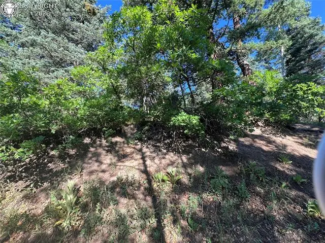Lot 7 Wonder Trail Na, San Isabel, CO 81069 - #2