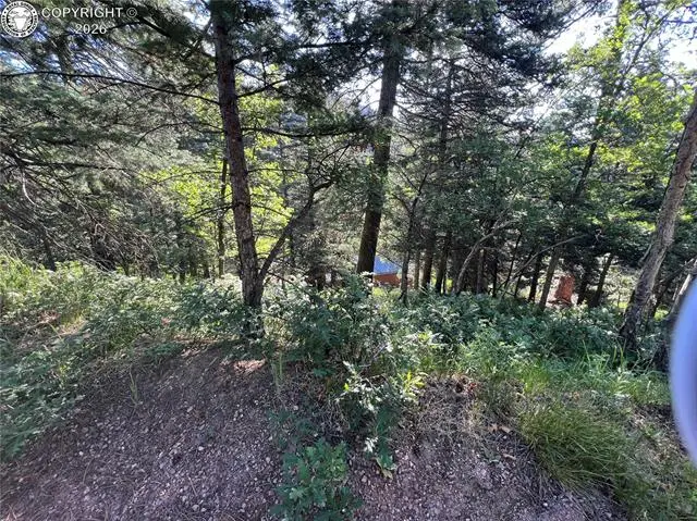 Lot 7 Wonder Trail Na, San Isabel, CO 81069 - #3