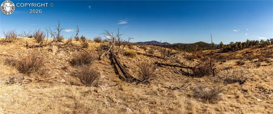 000 E Path, Cotopaxi, CO 81223 - #2