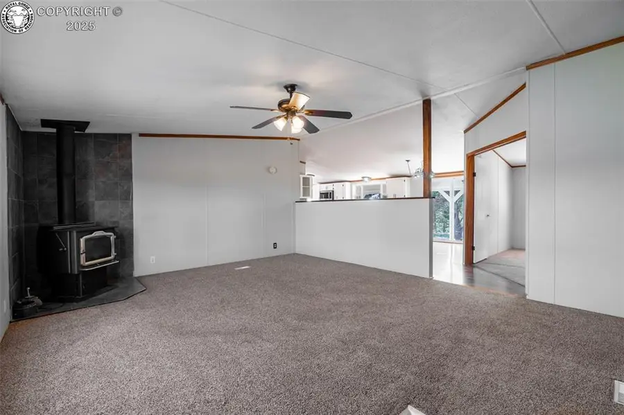 1712 9th Trail, Cotopaxi, CO 81223 - Image #3