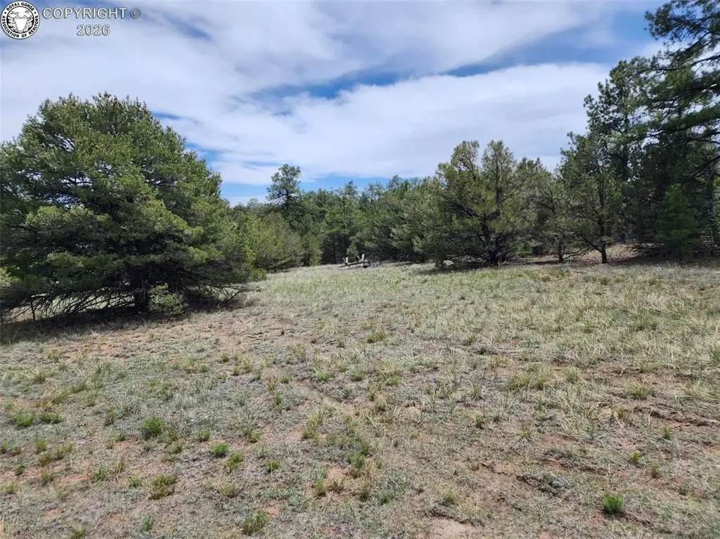 000 7th Trail, Cotopaxi, CO 81223 - #1